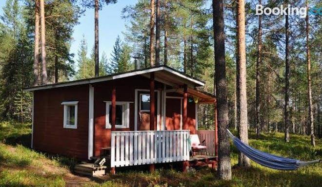 La cabane des myrtilles