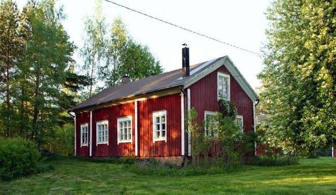 Parus fors