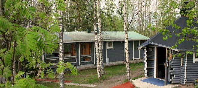 Pettu eerikki