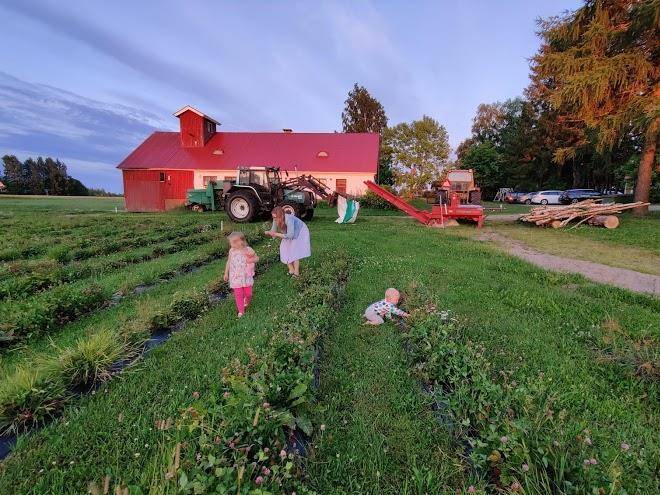 Hayrila's farm accommodation b&b