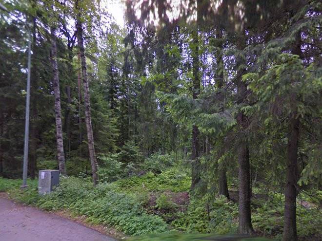Rantapuisto