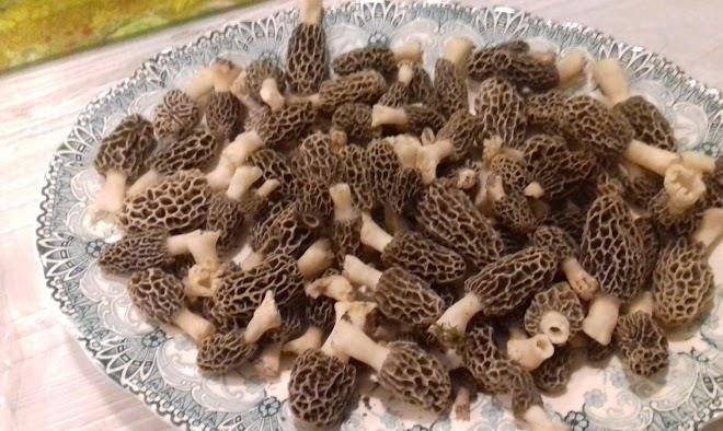 Debeney Jocelyn La Ferme Fleurie Image