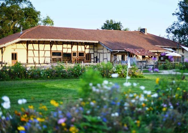Domaine les brouilles