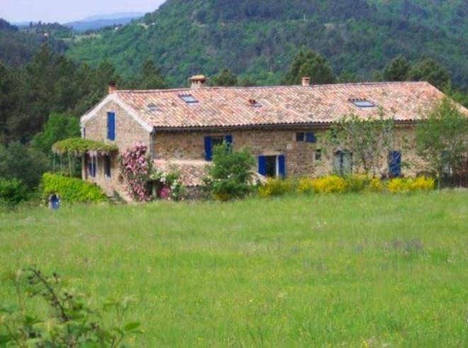 A l'ombre bleue du figuier