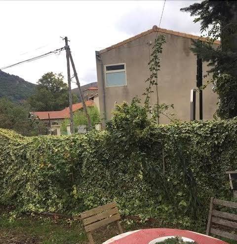 Le lys de la vallee