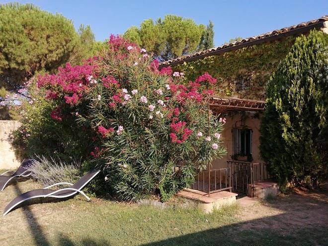 Mas de la rose gite ardeche