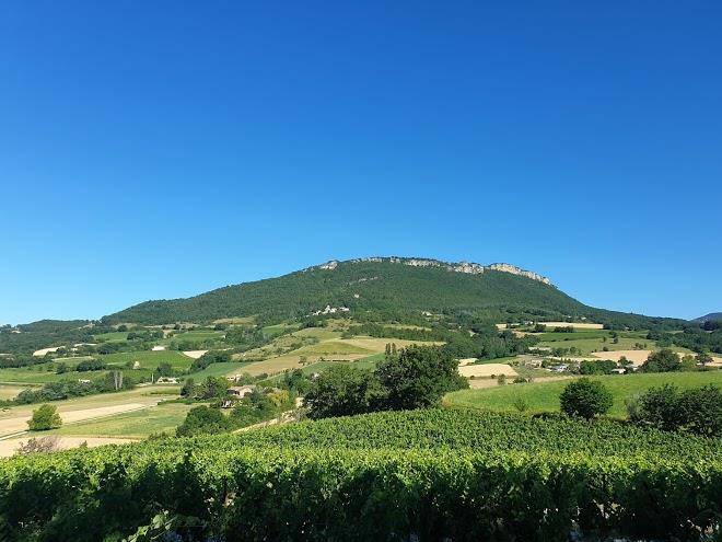 Chez merlette