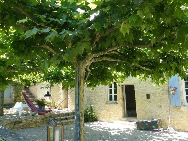Domaine de la ruche