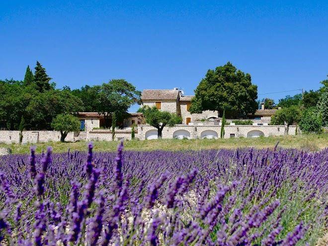 Domaine des grillons