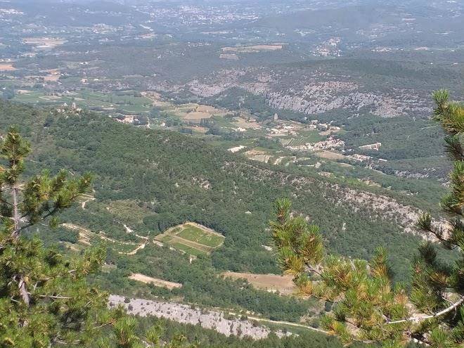 Le bois des roches