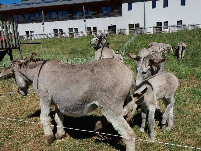 Centre D'accueil De Saint Front Image