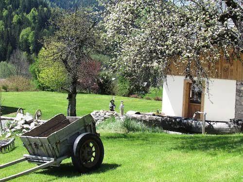 Chez la fine