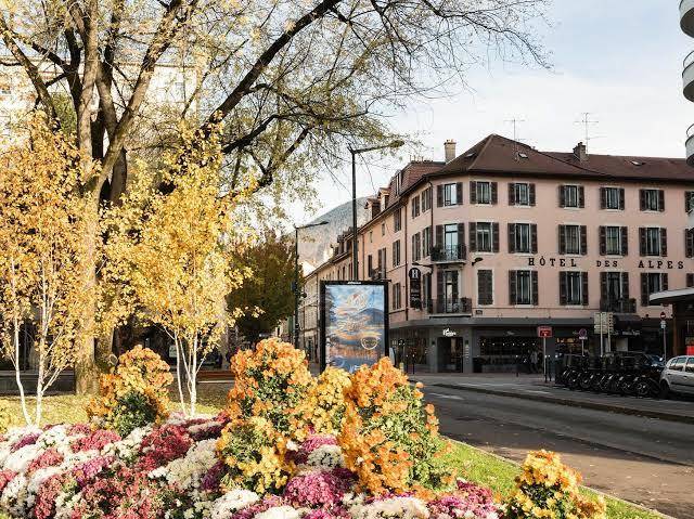 Hotel des alpes
