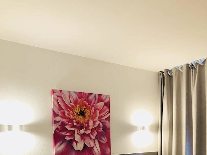 Hotel & restaurant des alpes