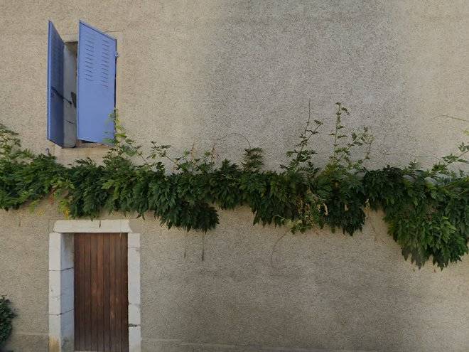 La ferme de la salicorne