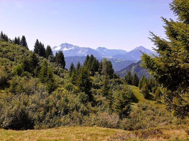 Les Chambres D'eugenie Image