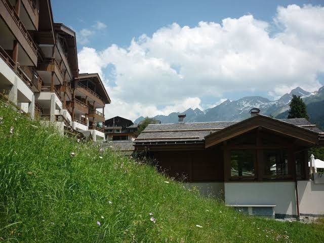 Les grandes alpes residence pvg
