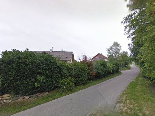 Les haies vives
