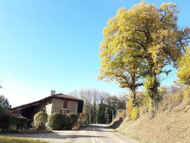 Chambres D'hotes Et Gite La Grange Du Haut Image