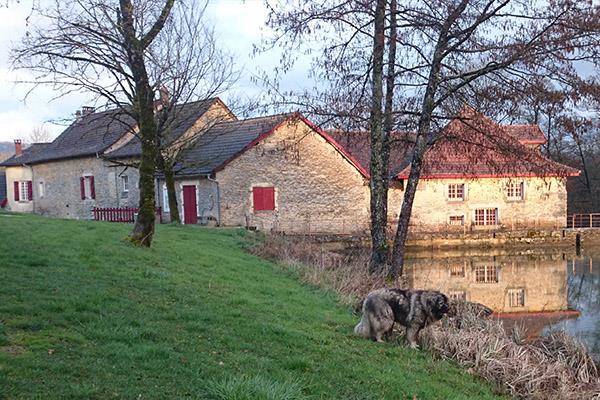 Gite de peche du domaine de tabouret