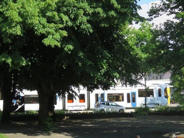 La petite maison