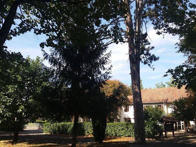 La vieille maison