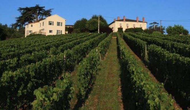 Domaine du fontenay