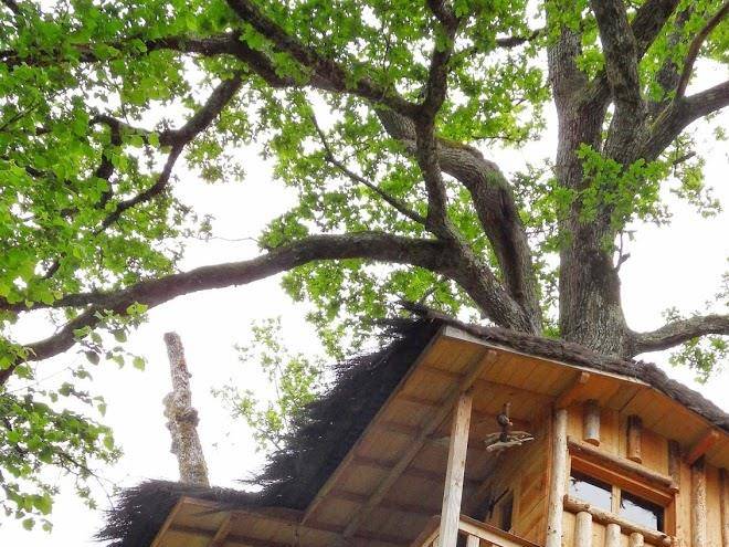 Les cabanes du marodier