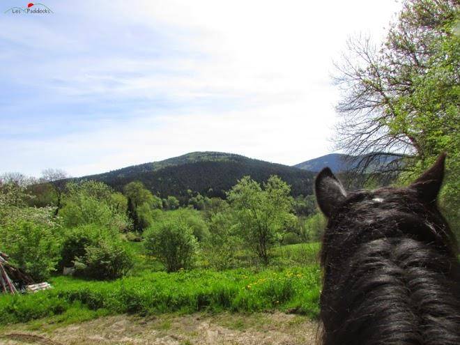 Les paddocks