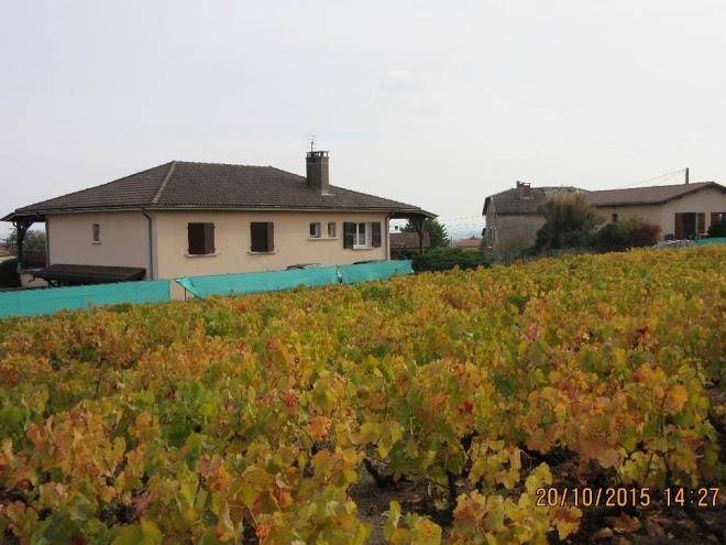 Domaine du barvy earl