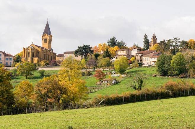 Domaine du chene patouillard