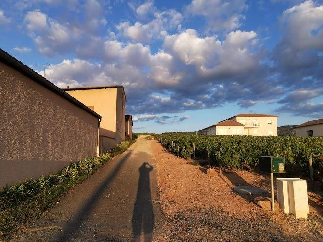 Domaine passot collonge