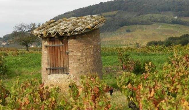Domaine tante alice
