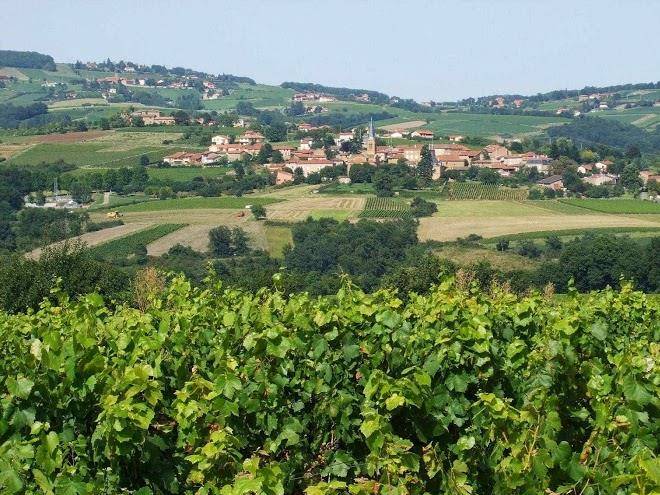 Gite des vendanges gite delestra