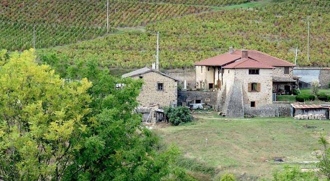 Le nid beaujolais