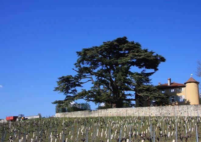 Chateau laviolette chambres d'hotes savoie