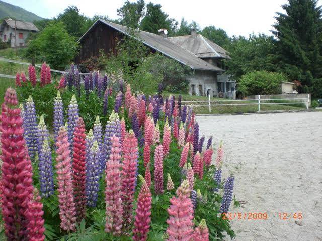 Domaine de la safraniere