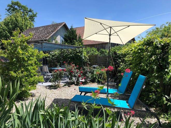 La vigne sur le foin
