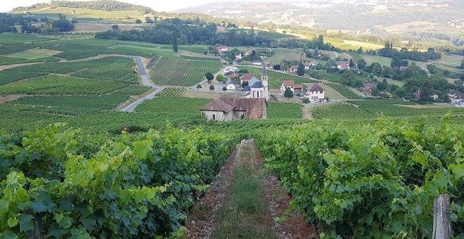 Les chambres du cru