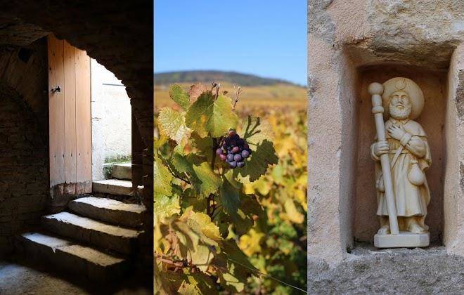 Clos saint jacques