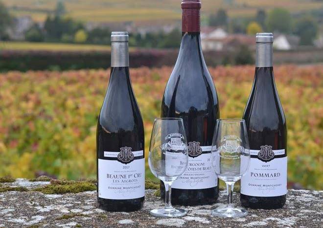 Domaine montchovet alain et gilles
