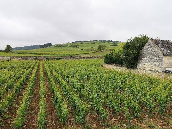 La maison des rugiens