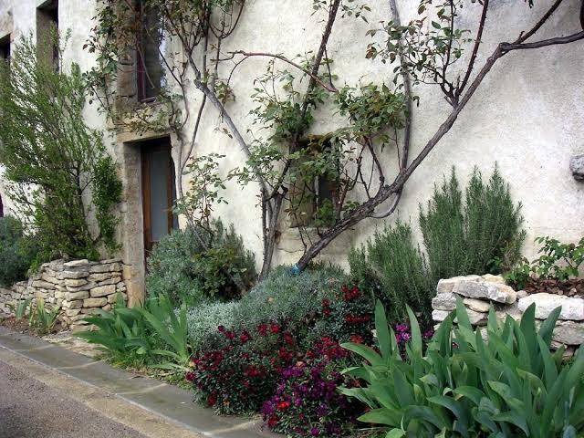 Le verger sous les vignes