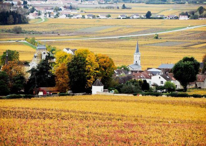Safari tours beaune