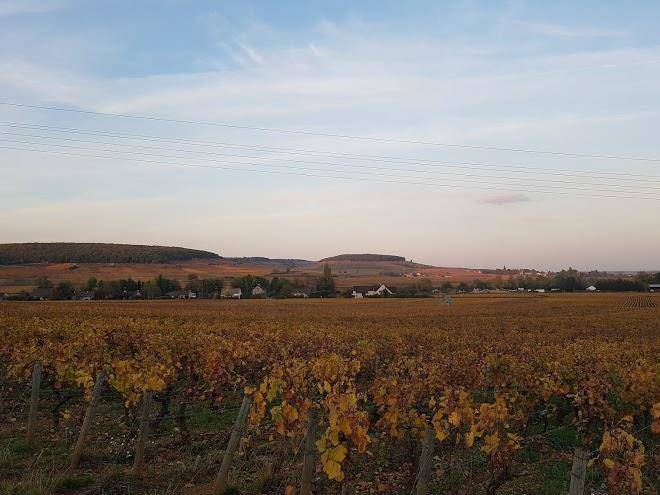 Stephen maurice domaine du prieure