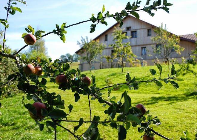 Maison d'hotes les vuillaumiers