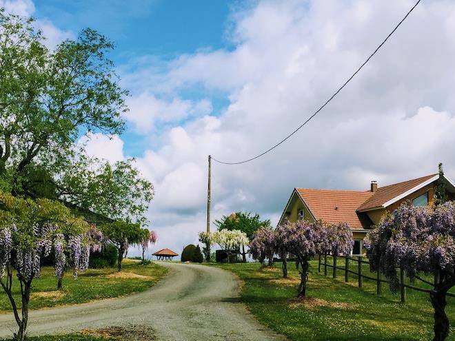 Au domaine du cerf