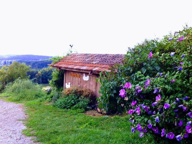 Ferme chateau gaillard
