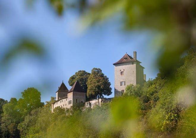 Chateau d'andelot