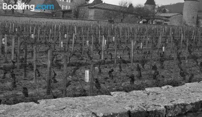Domaine la fontaine du mont